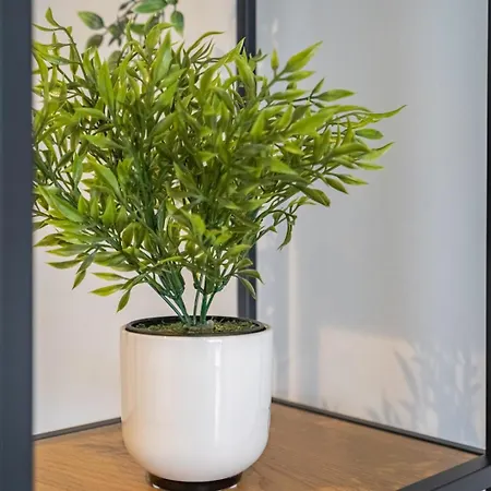 Διαμέρισμα Comfort And Rooftop Pool #1964 *